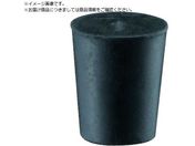 SANEI/S PH25-19
