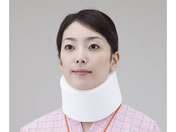 �A�Y���� �z�ŌŒ�J���[[�\�t�g] 8-1833-02