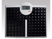 seca/�f�W�^���t���b�g�X�P�[��/8-1961-01