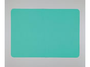 �}�b�g����~�߁u�G���g���V�[�g�v 8-2790-11