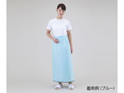 �A�Y����/�����Ɠ�����G�v���� �u���[/8-3966-02