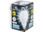TAKAGI/EARTH MAN LED�d�� 30W/LL-30B