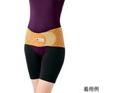 �G�p�Y��/���̐S �V�R�S�����x���g 3L�`4L/8-6579-13