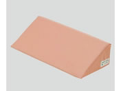 �A�C�E�\�l�b�N�X/�i�[�Z���g���f�B�J���p�b�g 500�~220�~123/8-6619-03