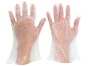 ~hS/|G`ĝĎ OG{X S 200
