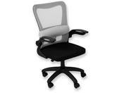 �A�X�J/�I�t�B�X�`�F�A���b�V�� �z���C�g/OCM01GR