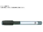 OSG/VPニューロールタップ 8317433 VP-NRT-B-STD1-M1.7 X 0.35 8317433