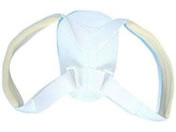 ���{�q��/�N���r�N���x�X�g�W���j�A(S) NE-2563(6-10�T�C)