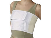 ���{�q��/�_�C���t�B�N�XII�^(LL)NE-624(20X115CM)