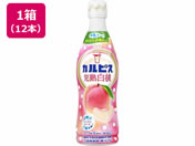 JsX/n vX`bN{g 470mL~12{