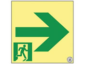 ���{�Ώ\����/���P�x�~���ʘH�U���W��(�����E��� 377951 24-7124-09 377951(ASN951)