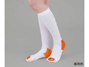 �A�Y����/�e���X�g�b�L���O(����~�ߕt)�n�C�\�b�N�X SS/9-1067-01