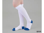 �A�Y����/�e���X�g�b�L���O(�R�b�g��)�n�C�\�b�N�X L/9-1069-04