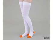 �A�Y����/�e���X�g�b�L���O(�R�b�g��)�X�g�b�L���O SS/9-1070-01