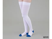 �A�Y����/�e���X�g�b�L���O(�R�b�g��)�X�g�b�L���O L/9-1070-04