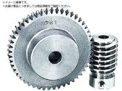 KG/ウォーム W1S L1-L モジュール1.0 圧力角20度 並歯 S45C 精密転造仕上 W1S L1-L