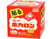 ���b�e/�z�J���� �\�� �~�j 30��