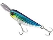 �W���b�J��/JK ���C�U�[�x�C�g 004 #�i�}�C���V