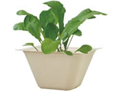 ���V���| �o�K�X�O���[�� ���f�B�b�V�� 93230