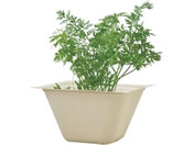 ���V���| �o�K�X�O���[�� �~�j�L�����b�g 93231