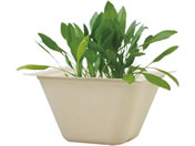 ���V���| �o�K�X�O���[�� �T���_�z�E�����\�E 93233