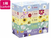 剤 GG[ i:na(C[i)eBV[ 150g5~12pbN