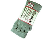 �����ӂ����/���̂����� 5�{�w �O���[ 3���g