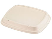 G)パックスタイル/バガス容器 BB弁当 N24-20F 共蓋 50枚