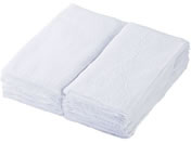 e_C DȂ^I_X^[ 100g 578806