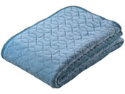 �t�@�~���[�E���C�t/���o�[�V�u���~�p�b�h �V���O�� �u���[/a3567820