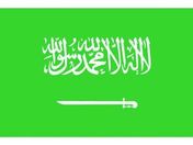 東京製旗/国旗No.1(70×105cm) サウジアラビア/416302