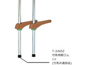g[GCCg |nprS T-2465Z