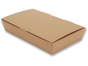 �V���W�}/NF�l�I�N���t�g �X�i�b�NBOX L 20��/4248322