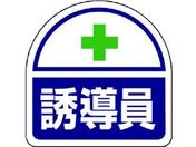 jbg/wbgpXebJ[U PPXebJ 35~35 21V[g