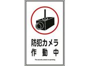 緑十字/イラストステッカー標識 防犯カメラ作動中 10枚組