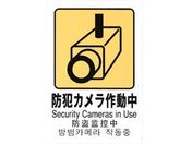 光/多国語ピクトサイン 防犯カメラ作動中/TGP2032-8