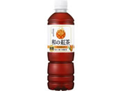 ATq/a̍gACXeB[ 500mL