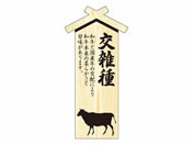 ササガワ/精肉札 部位プレート大 交雑種 100枚/41-10033