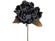  W[[bgsIj[ #20 BLACK FM007738-020