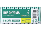ACXI[} BIGCAPA basic plus AJdr P4`10{
