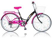 21Technology/VeBTCN EM246 ubN/sN/em246-bkpink