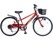 21Technology/VeBTCN KD246 bh/kd246-red