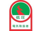 wbgpXebJ[ ሳdC戵 10g ItB