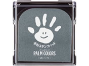 G)V`n^/`X^vpbh PALM COLORS ͂