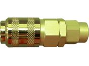 `_/nCRbN\Pbg(z[Xp^Cv)5mm~8mm/A-SCT