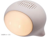 �^�J���g�~�[ coemo(�R�G��)