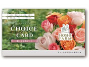 Af[ zVt@[ eJ[hy050z D-FM25-FLO-050