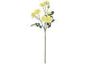   oNVA[Y#4YELLOW