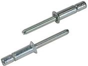 エビ/高強度ブラインドリベット Sボルト(皿頭) Φ6.4/板厚12.0mm (100本入)/SNS6412KEB