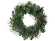 YDM  35cmJo[hpCR[[X CAE-153